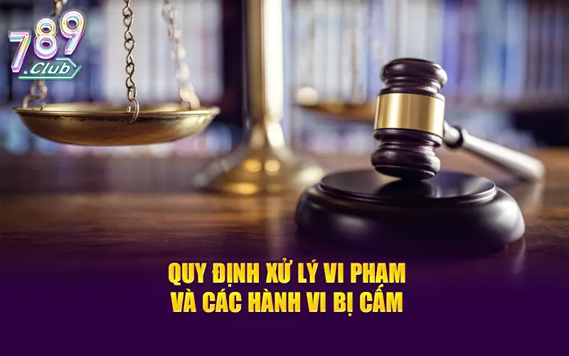 Quy định xử lý vi phạm và các hành vi bị cấm